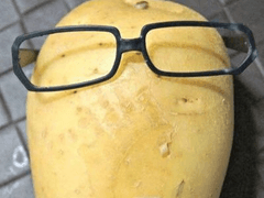 진지충 씹선비 전대영은 서울대의 꿈을 꾸지 않는다