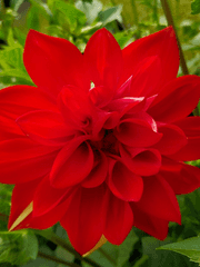 글러를 위한 연성 100제[로이카이]