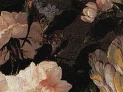 재커리 데븐포트 / 12학년 / XY