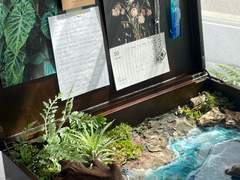 NEW [생태계 상자 주문 안내]