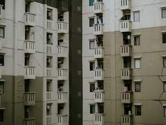 언제나 꽃이 피는 꿈의 집, 정동 소철아파트에 어서 오세요.