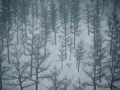 신기루(蜃氣樓) - 외전