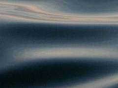 유영하는 해마처럼