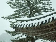 빙탄상애屋烏之愛