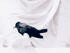 [듀랜드 노버트 / XY / 슬리데린 / 순혈]