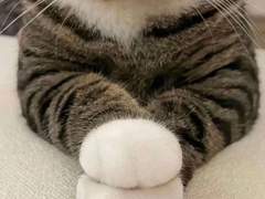 내 착각이였구나 (6)