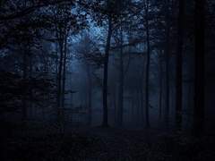 라플라스의 부등식 23