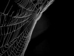 라플라스의 부등식 24