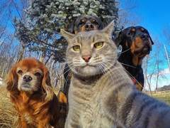 반인반수 엔시티 (完)