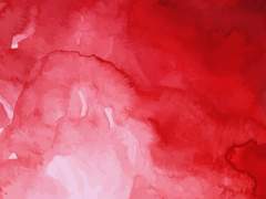 포인세티아 (poinsettia)