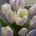 ㅁı녀 ㄱr보ㅈΓ구