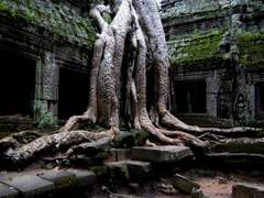 [케이다이/타르종려] Mission.04 - 침묵의 메아리 Act. 03