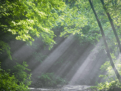 [도소] 여름향기 안휘에 닿아 (선공개)