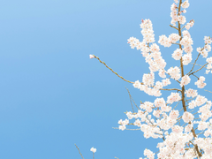 [뷔진] 그 계절의 온도 <특별편>