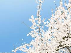 [뷔진] 그 계절의 온도 42 (完)