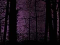 43. 절대 이용 당하지 않는 법