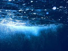 Do you know a man mermaid?