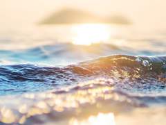 [도리벤드림] 새해 맞이