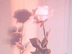 [도리벤드림] 범천에게 빼빼로의 철퇴를!