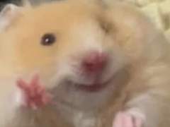 라이즈가 막냇동생 낳았나요? 2