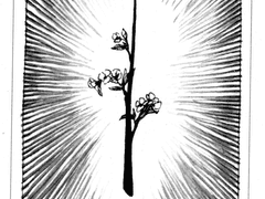 와일드 언노운(Wild Unknown) 한글해설(번역중)