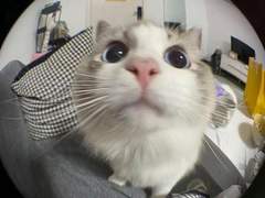 NCT팀의 가이드 적응기