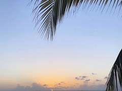 좀아포 설정집(제1장)