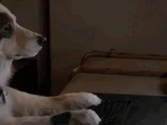 주대리의 이직일기 01.