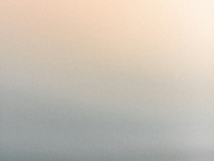 선물 받은 가내 집밥 00