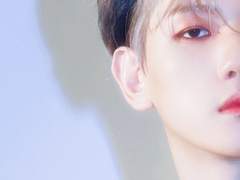 센티넬의 매운맛