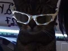 (최고급)매크로 밀리초 판매