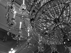 그렇다면 내 溺愛는?