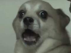 [원신드림]이웃에는 ●●이 살아요.