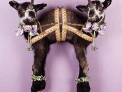 되돌아 보기 001