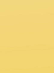 𝙎𝘼𝙆𝘼𝙈𝙊𝙏𝙊 𝘿𝘼𝙔𝙎