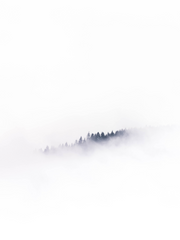 [화산귀환] 재진