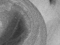 생존성 트롤리 딜레마