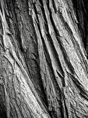 매드닛의 BL창고