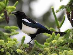 2024년 설 특집 단편