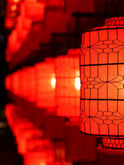 어느 날 수상한 청자 배가 입문했다(完)