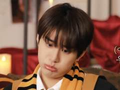 설날 까치포획작전