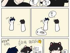 자캐들의 고얌이 머리띠놀이~