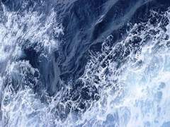 당신은 싸이코패스입니다.