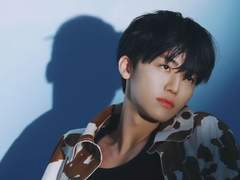 스트레이 센티넬 08