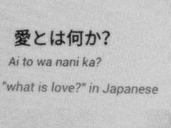 그저 호기심 (2)