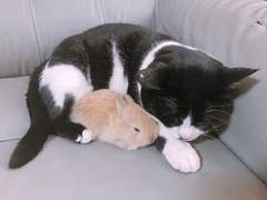 보고싶어, 후배님