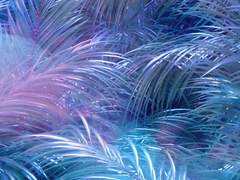 [끝] 재미로 하는 트라이건 캐릭터 증명사진 그리기 ♥