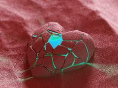 [태웅백호] 뉴 러브 트랜지션 (2)