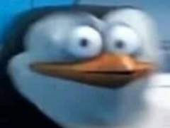 당주님도 감기 걸리나요