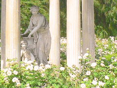 Athelene Dear Titania